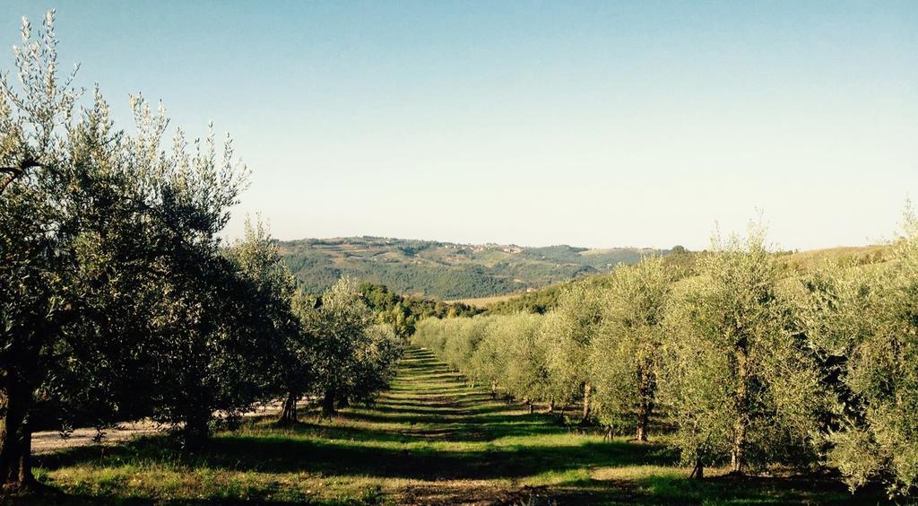 Villa Podere Le Corone à Monte Castello di Vibio Extérieur photo