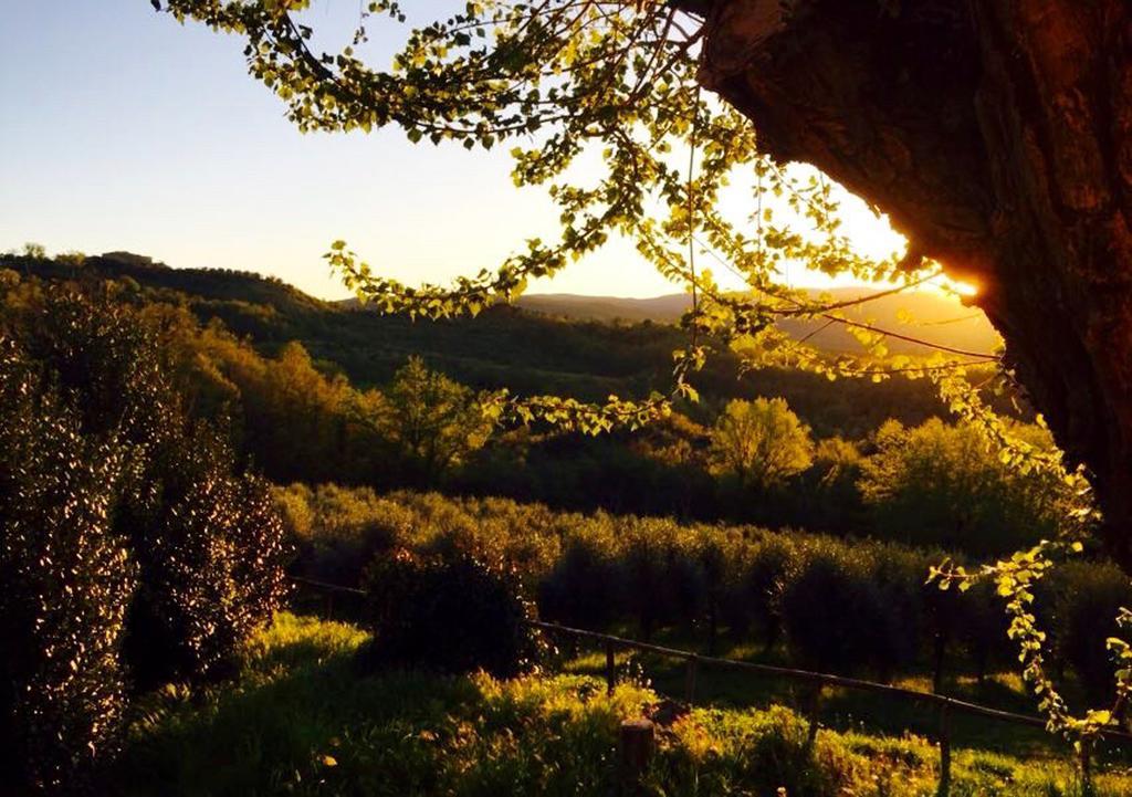 Villa Podere Le Corone à Monte Castello di Vibio Extérieur photo